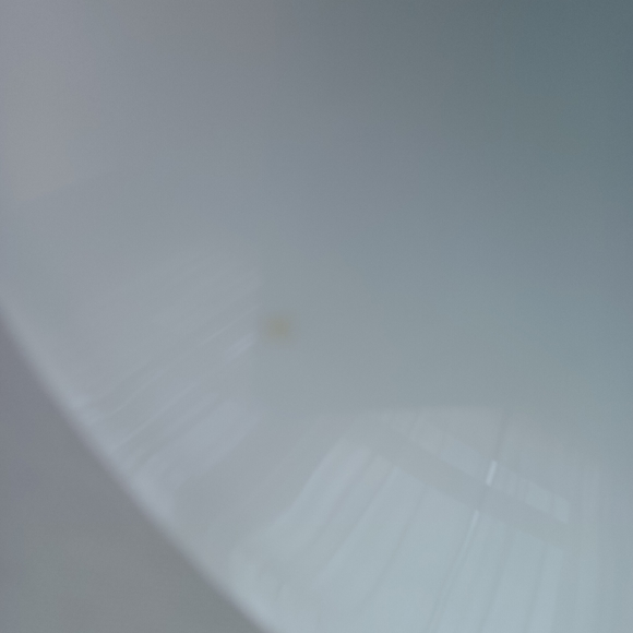 LIMOGES FRANCE 10"VINTAGE HAND PAINTED PLATE PEONIES - Picture 4 of 14